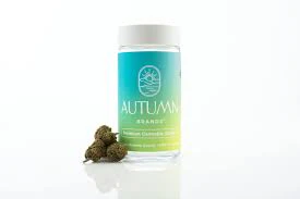 Autumn Brands - Autumn Brands Smalls 14g Italian Lemonade Main Image