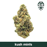 Nanticoke Kush Mintz 7g Jar Flower