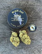 Blackbird Gardens Black Sap 3.5g Jar Flower
