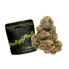 POETRY OF PLANTS - PoP | Premium Buds | Heavy Metal | 1g Main Image