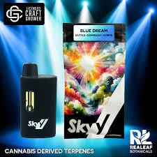 SKYY - Skyy | Disposable Pen | Blue Dream | 3g Main Image