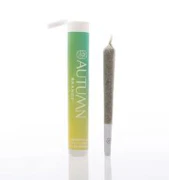 Autumn Brands Preroll 1g Sour Mango