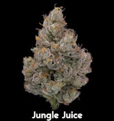 Jungle - 3.5g (H) - Humboldt Gardens