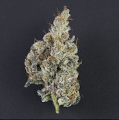 K Dynamite - 3.5g