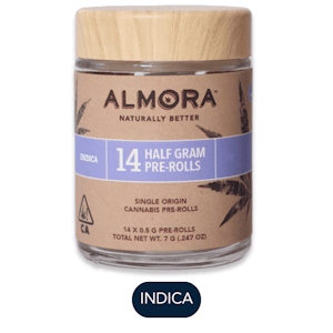 Almora - Almora Farm - Governmint Oasis - Preroll Pack - 14pk - 7.0g