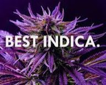 West Coast Cure - Za-Toshi Bhomb Top Shelf 3.5g