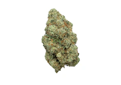 Coastal Roots | Indica Princess | 7g Flower | [I]