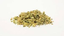 Canna Fuel - Sour Pebbles Greenhouse Flower 3.5g