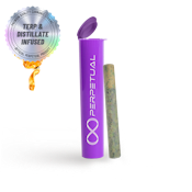 Perpetual | Cherry Bomb (H) - Infused Pre-Roll 1g