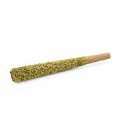 The Socialite - Bahama Sunset (Hybrid) Infused Preroll - 1.25g