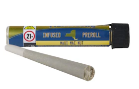 Maui Mac Nut Infused 1.25g Preroll - Sativa Dominant | Nanticoke