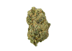 Coastal Roots | Inzane in the Membrane | 7g Flower | 7g Total | [S]