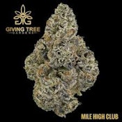 Mile High Club | Giving Tree Gardens | Bulk Flower