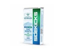 Detroit Edibles | WinterGreen Blast | SideKicks Mints | 100mg