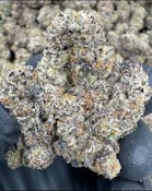 ZaZa Runtz | BAMN | Bulk Flower