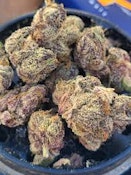 SherbGotti | Cloud Farms | Bulk Flower