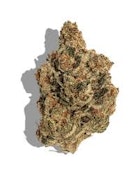 Motorbreath 15 | Cloud Farms | Bulk Flower