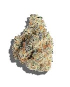 Candy Cake | Cloud Farms | Bulk Flower