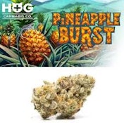 Pineapple Burst | H.O.G. | Bulk Flower
