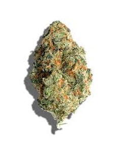 Buds - J1