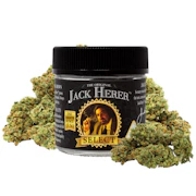Jack Herer - 3.5g Select - Original Jack Herer