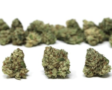 AGL - AGL 7g SF Night Owl Haze (S) 00518