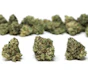 Product Preview Image 1