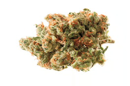 Jack Herer Flower - 3.5g
