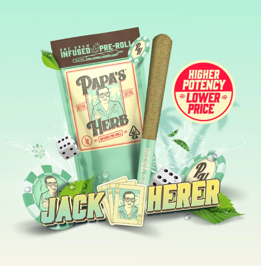 Papa's Herb - Papa's Herb - Jack Herer - 1g Infused Pre-Roll Main Image