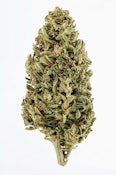 Jack Herer - 3.5g