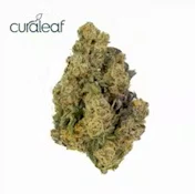 Grassroots Whole Flower 3.5g Jayna's Sunshine (H) 01449