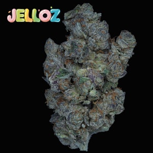 Prolific - Prolific Grow House | Jelloz | 3.5g