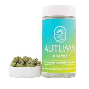 Autumn Brands - Autumn Brands Smalls 14g Jet Fuel Gelato