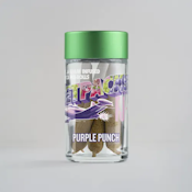 Purple Punch (I) - Big Bang Infused Prerolls | 5pk x 0.5g | 2.5g | Jetpacks