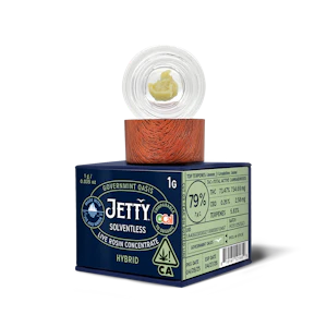 Jetty Extracts - Jetty Extracts - 1g OCal Live Rosin - Governmint Oasis