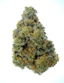 Pruf Cultivar oZai