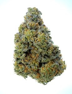 Pruf Cultivar - Pruf Cultivar oZai