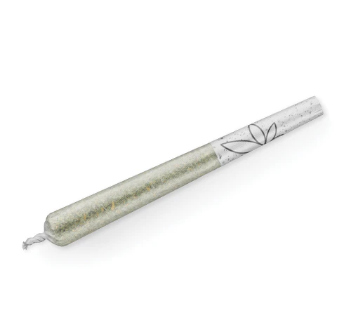 Big Tree - Gin N Juice (H) | 10pc Hemp 1g Blunt Pack | Big Tree Main Image