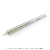Infused Joints - Blue Skunk - 2 - 0.5g Joints