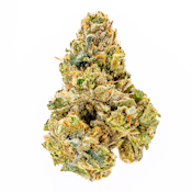 Jokerz | Flower | 3.5g | Umamii