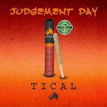 Tical | Judgement Day | 1g Preroll