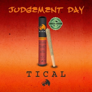 TICAL - Tical | Judgement Day | 1g Preroll