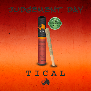 TICAL - Judgement Day | Pre-roll | 1g