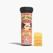 LOST FARM | JUICY PEACH MIMOSA - 10PK | EDIBLE | 100MG