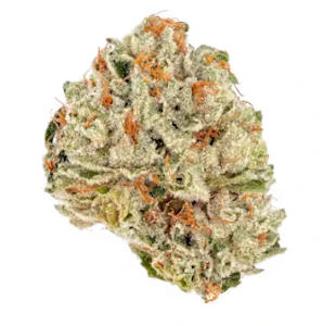 Cali-Blaze - Caliblaze Julius caesar 1g preroll [ H ] 