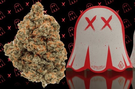 GHOSTPACK - JUNGLE JUICE 3.5G - GHOSTPACK