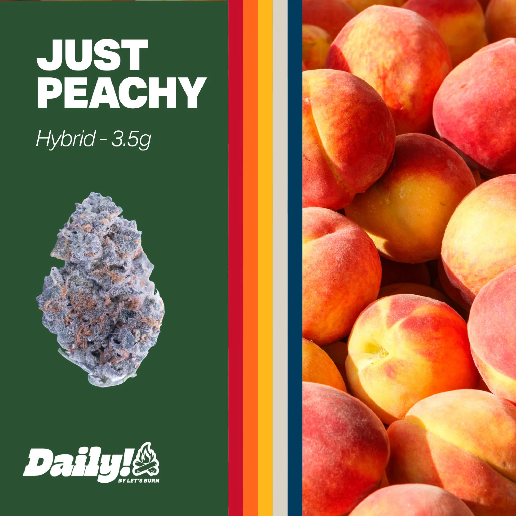 Daily! - Daily! Just Peachy 3.5g 0153 Main Image
