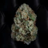 Product Preview Image 2