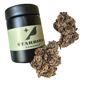 Kapnos - Guava Tart - 7g - Kapnos Cannabis