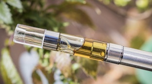 (the) Essence | Jack Herer | 1g | Vape